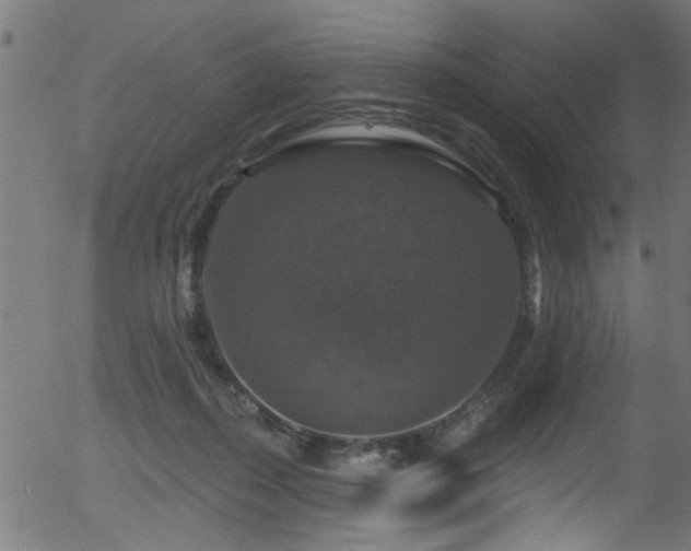 X0000056330267200508291300