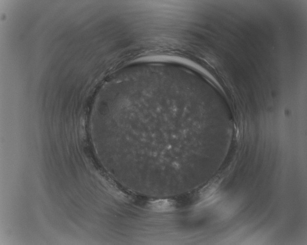 X0000056330269200508291300