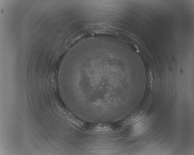 X0000056330270200508291300