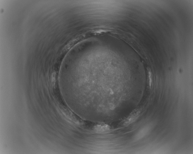 X0000056330271200508291300