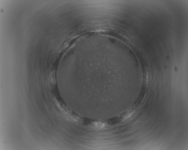 X0000056330272200508291300