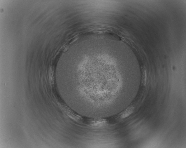 X0000056330274200508291300