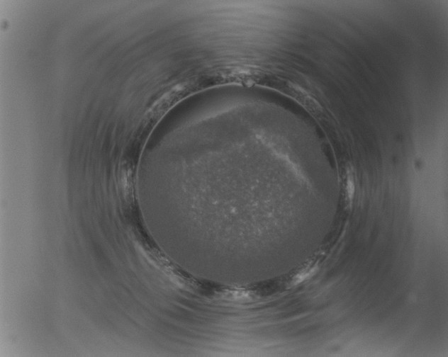 X0000056330276200508291300