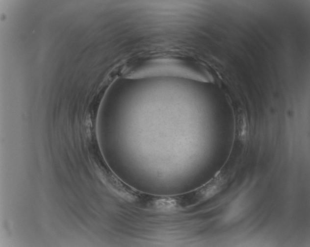 X0000056330279200508291300