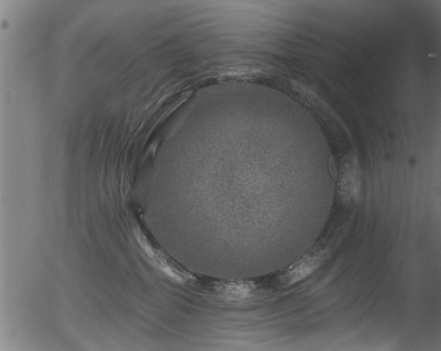 X0000056330282200508291300