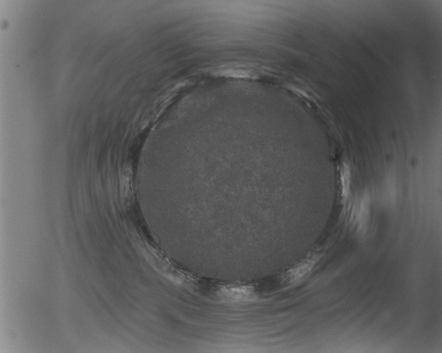 X0000056330283200508291300