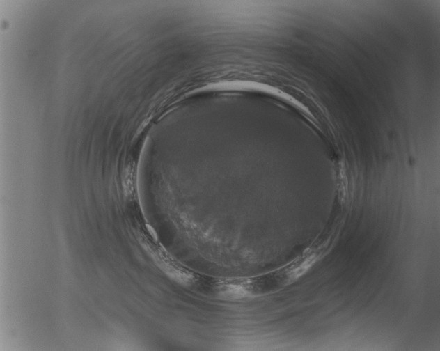 X0000056330285200508291300