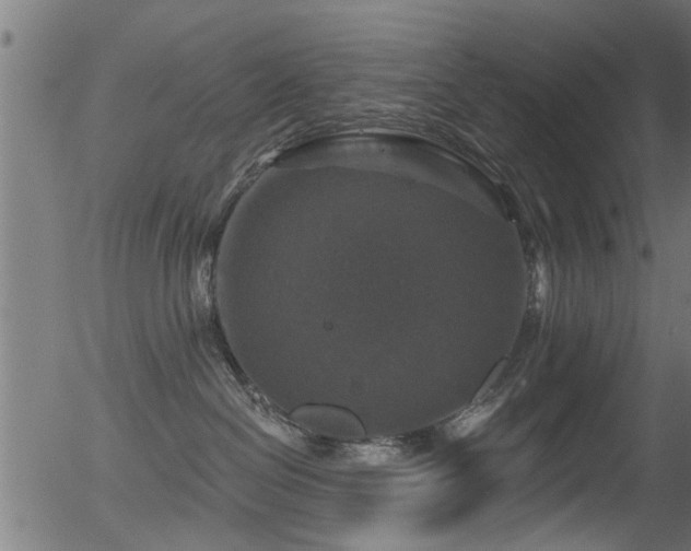 X0000056330286200508291300