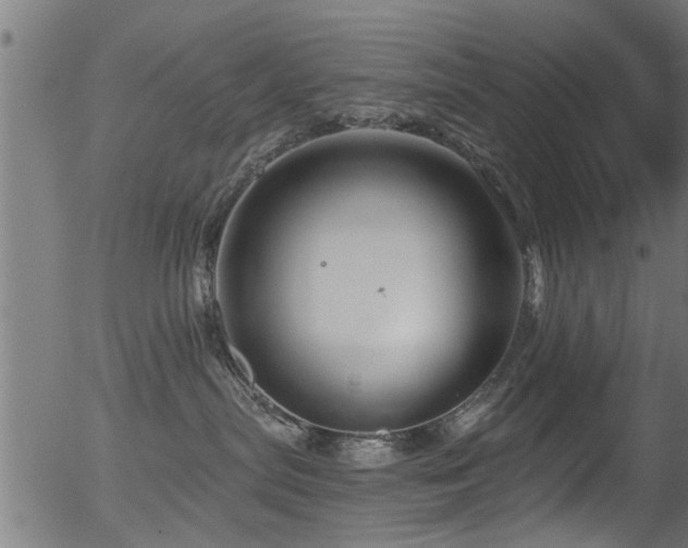 X0000056330287200508291300