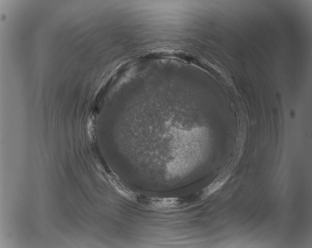 X0000056330288200508291300