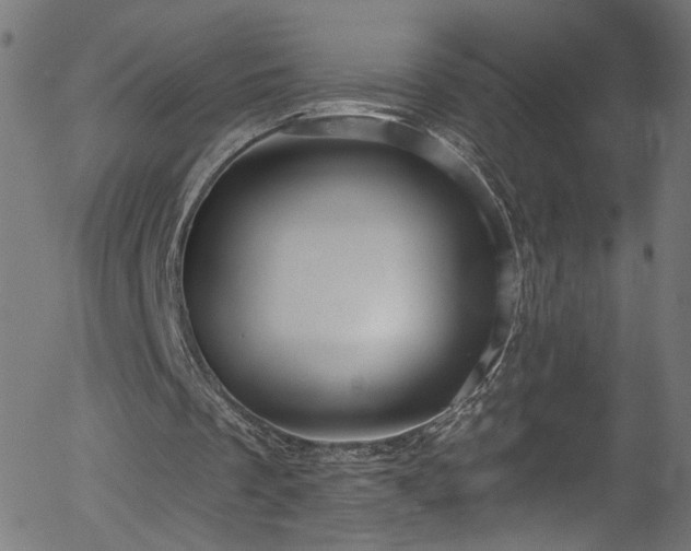 X0000056330289200508291259