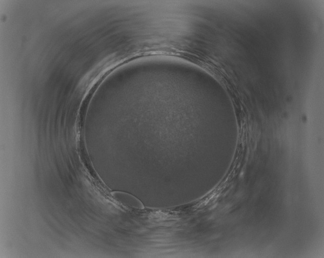 X0000056330290200508291259