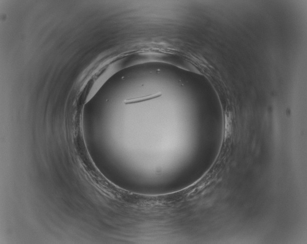 X0000056330291200508291259