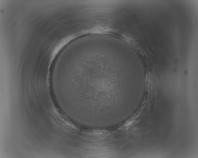 X0000056330292200508291259