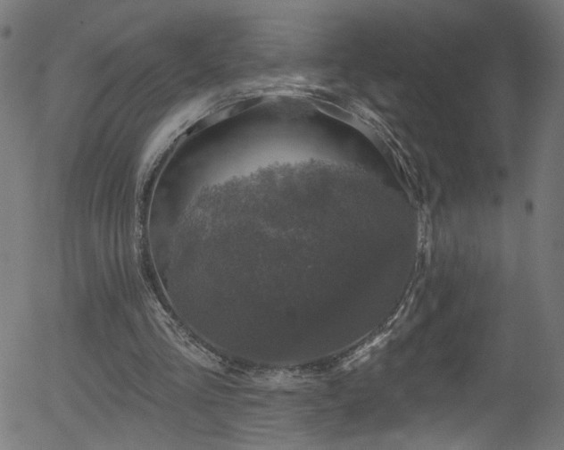 X0000056330293200508291259