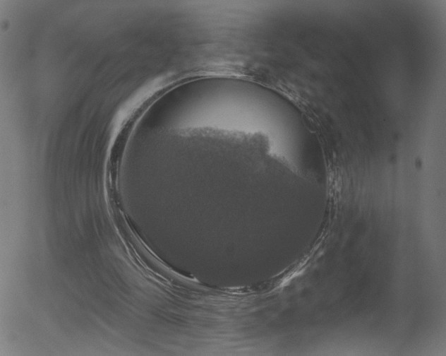 X0000056330294200508291259