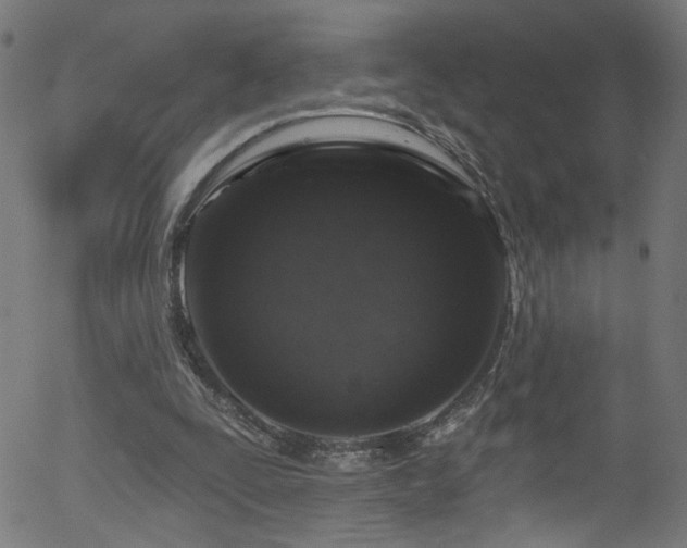 X0000056330295200508291259