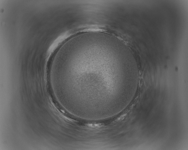 X0000056330296200508291259