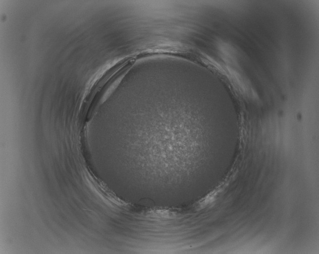 X0000056330298200508291259