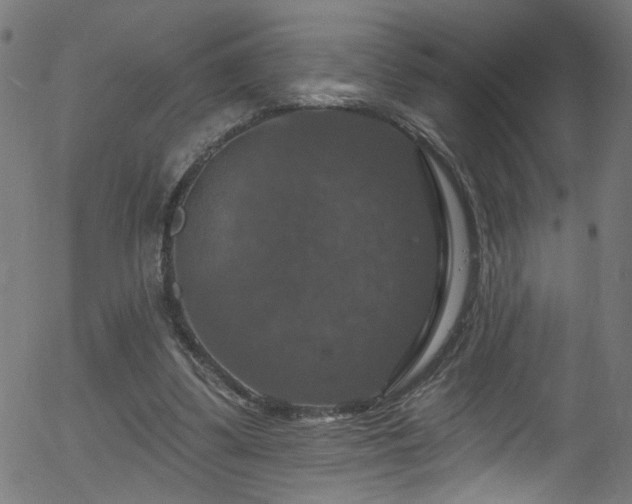 X0000056330299200508291259