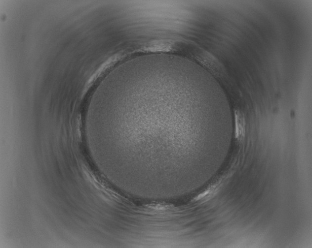 X0000056330300200508291259