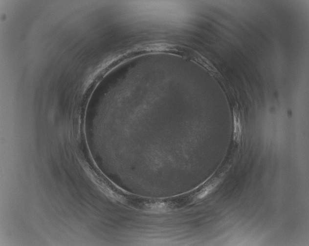 X0000056330301200508291259