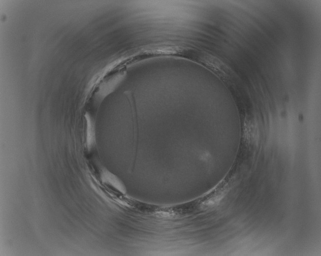 X0000056330302200508291259