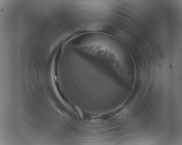 X0000056330303200508291259