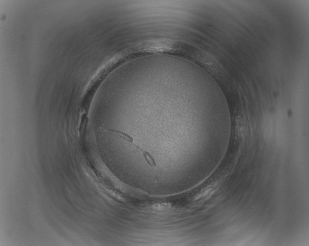 X0000056330304200508291259