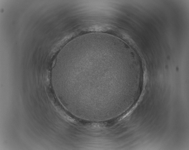 X0000056330305200508291259