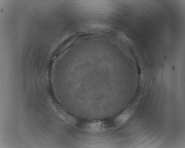 X0000056330306200508291259