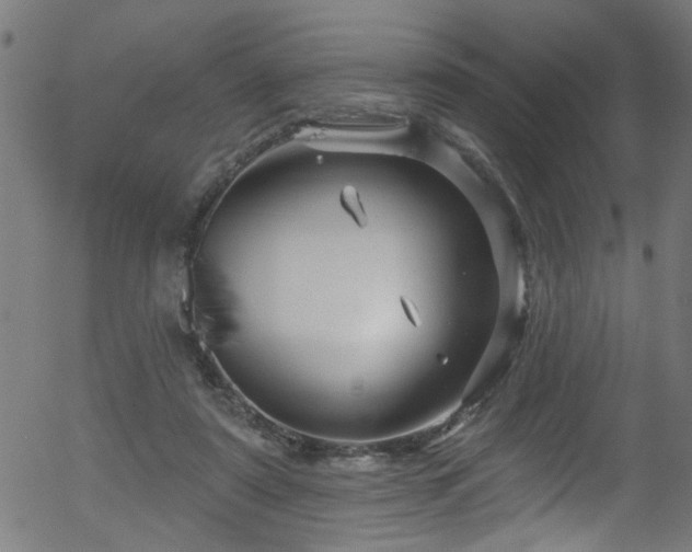 X0000056330307200508291259