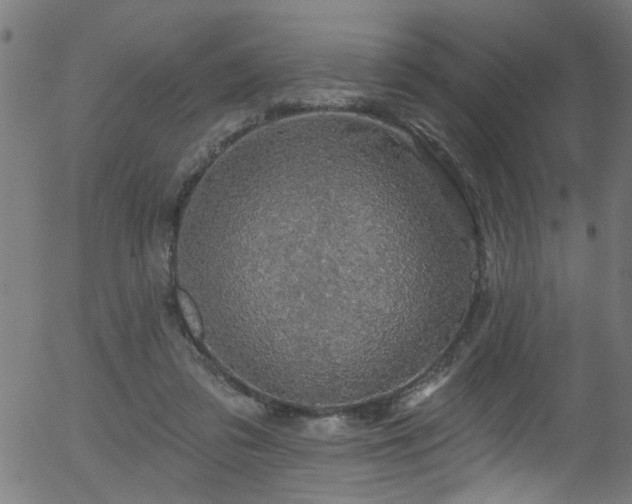 X0000056330309200508291259