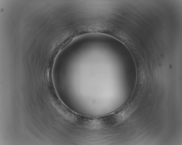 X0000056330310200508291259