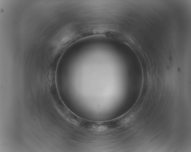 X0000056330311200508291259