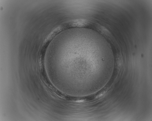 X0000056330312200508291259