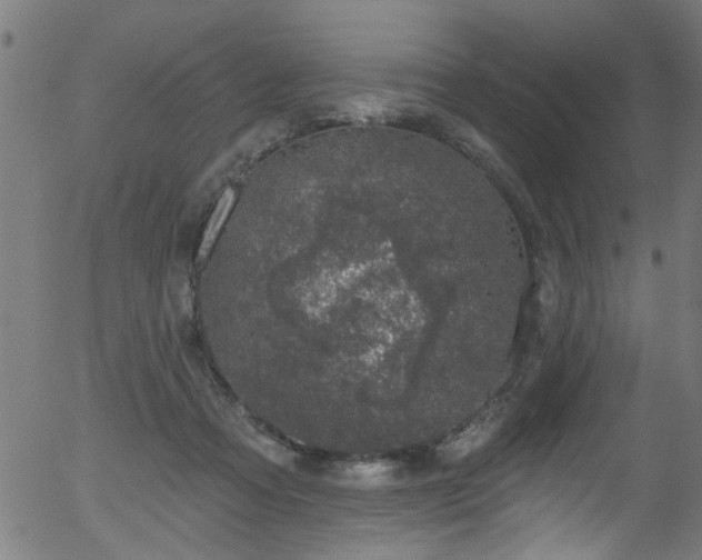 X0000056330313200508291259