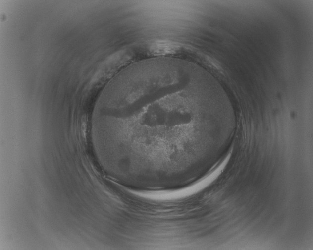 X0000056330315200508291259