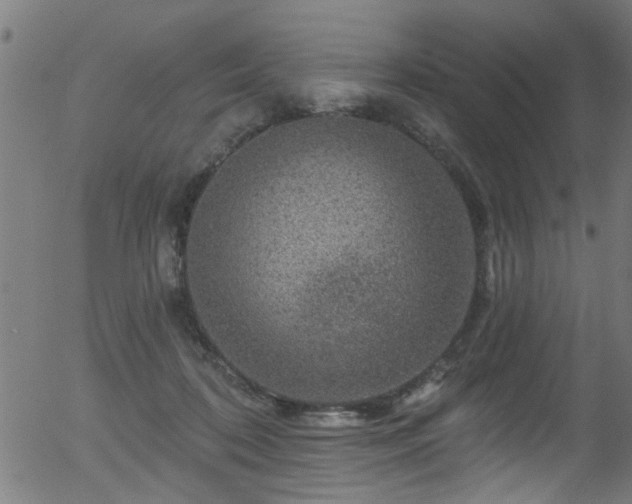 X0000056330316200508291259