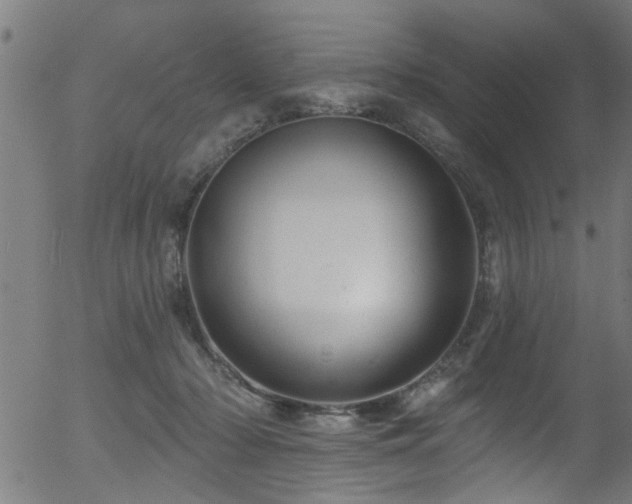 X0000056330318200508291259