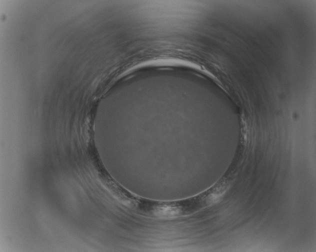 X0000056330319200508291259