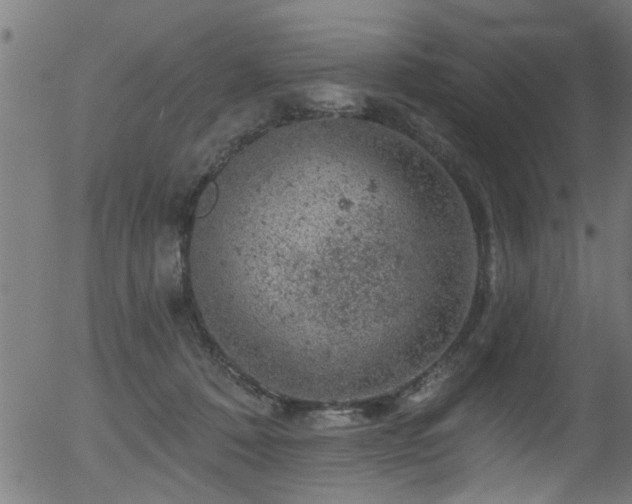 X0000056330320200508291259