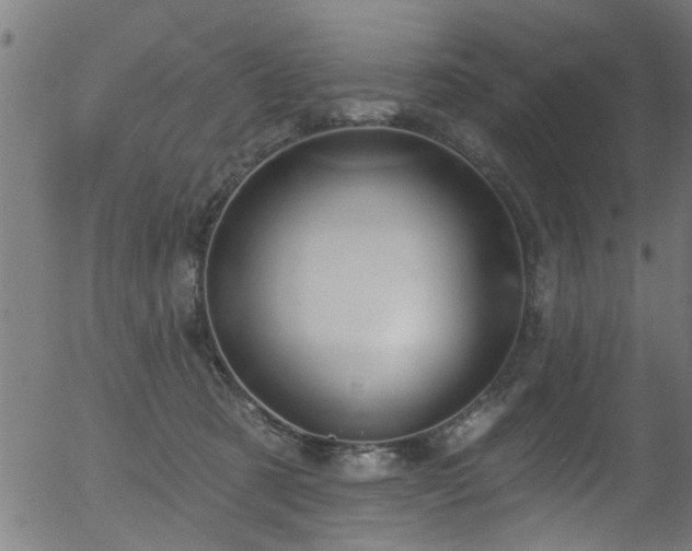 X0000056330321200508291259