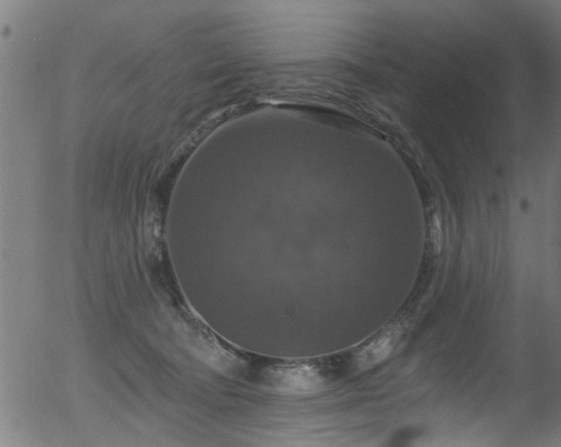 X0000056330322200508291259