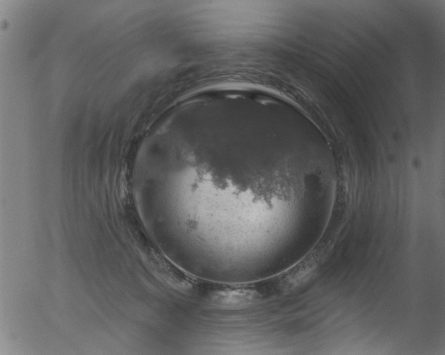 X0000056330323200508291259