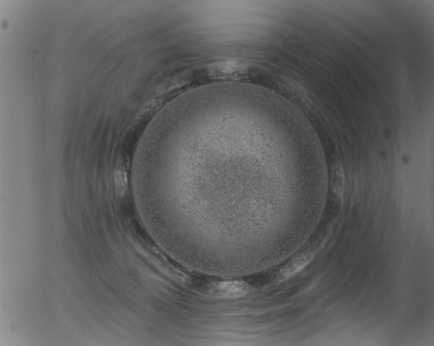 X0000056330324200508291259