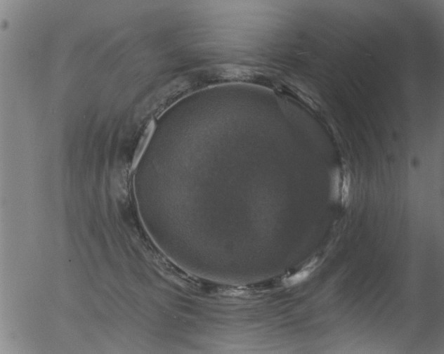 X0000056330325200508291259