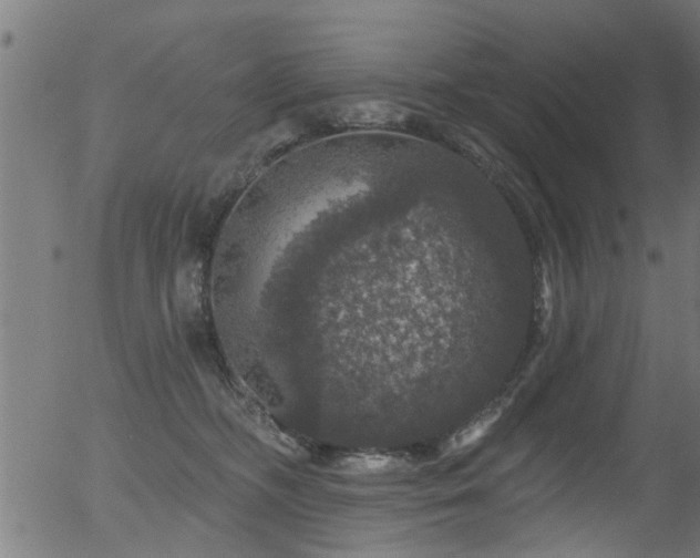 X0000056330326200508291259