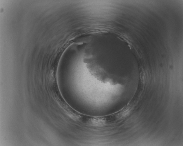 X0000056330327200508291259