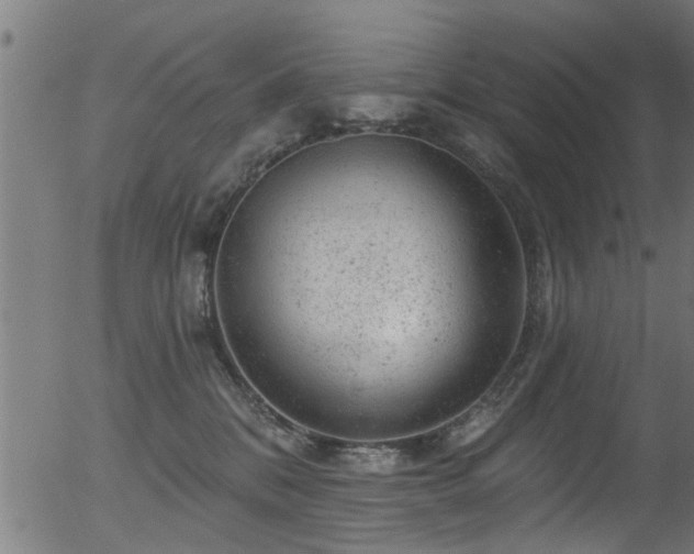 X0000056330328200508291258